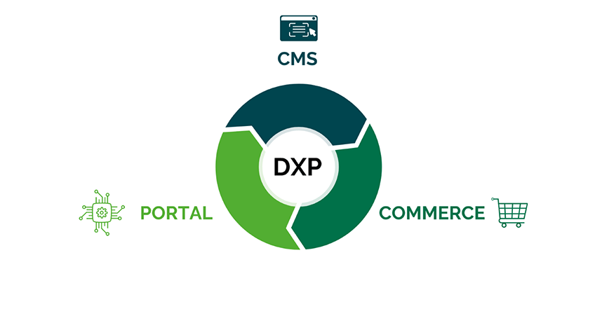 Was ist ein DXP?