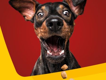 Aufmacher Josera Hundefutter