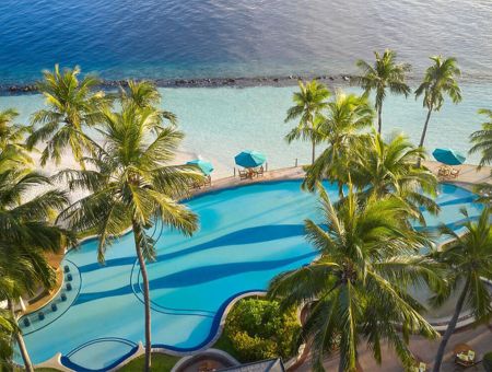 Projekt: Impressionen vtours - Pool mit Palmen