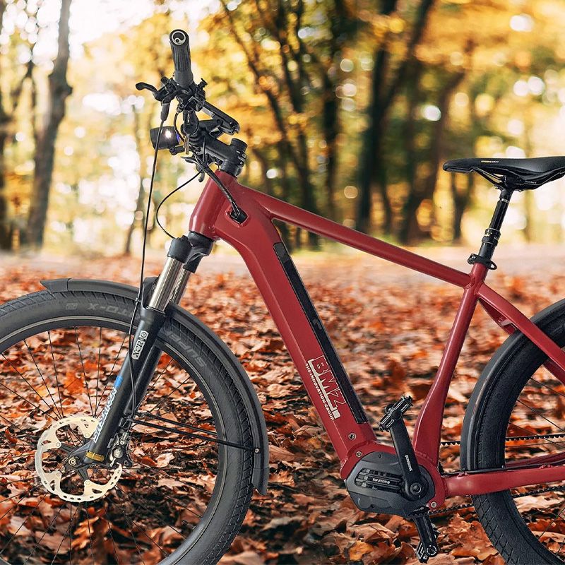 Projekt: BMZ Teaserbild - E-Bike